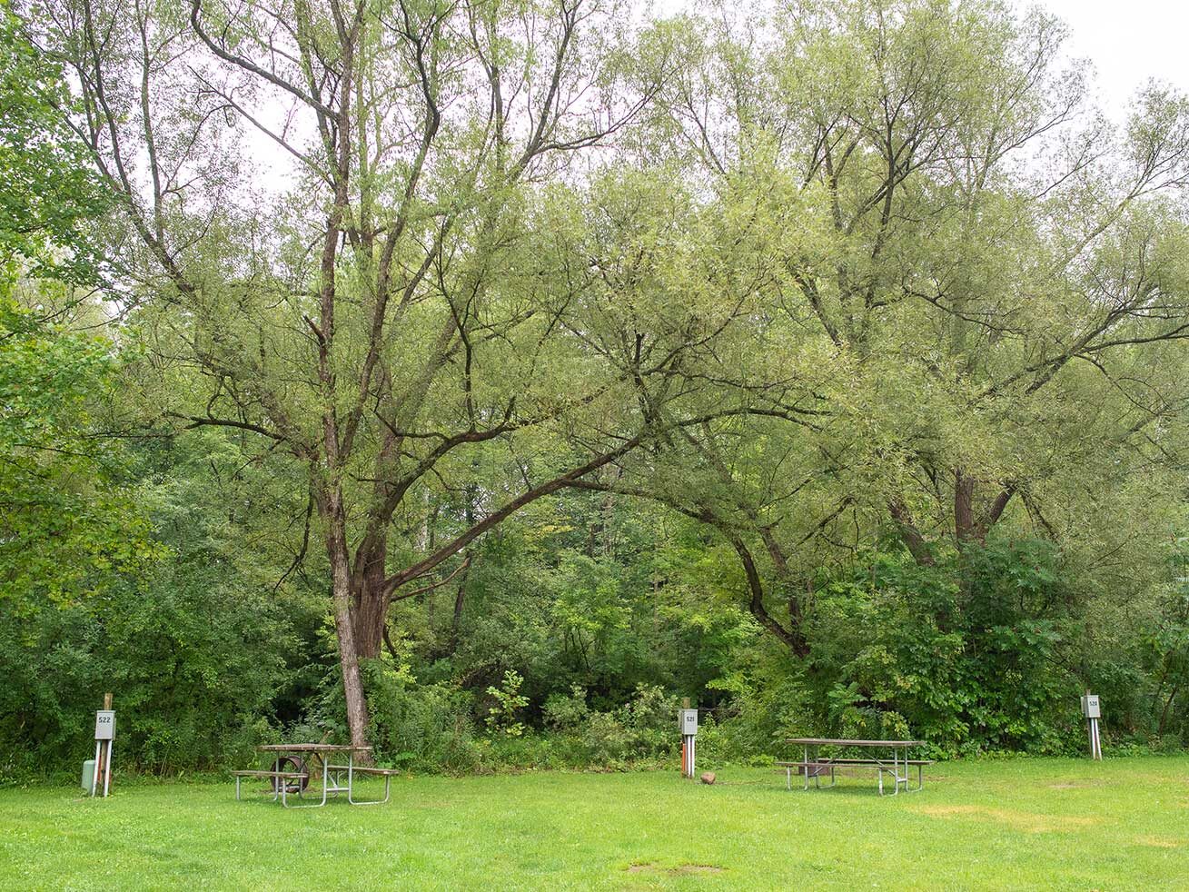Campsites