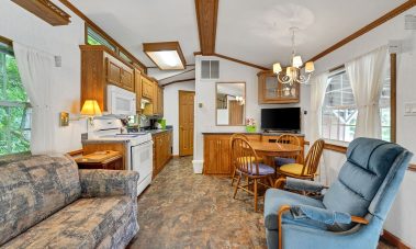 cabin 10 living area and kitchen