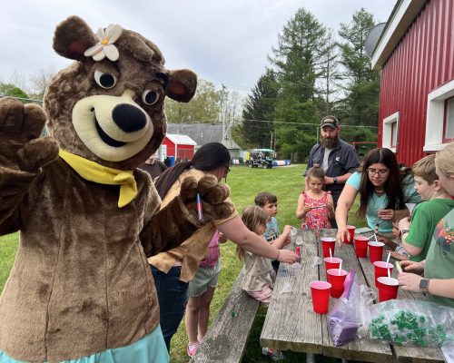 Cindy Bear and friends